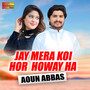 Jay Mera Koi Hor Howay Ha
