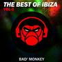 The Best Of Ibiza Vol.5, Compiled By Bad Monkey