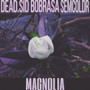 Magnolia (Explicit)