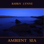 Ambient Sea