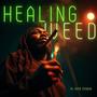 Healing ****