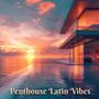 Penthouse Sunset Vibes: Latin House Mix 2024, Sexy Brazilian Vibes