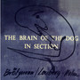 The Brain Of The Dog In Section