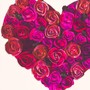 Pink Casket (Alternate Version • Live from the Sunroom) [Live]