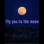 Fly you to the moon (Explicit)