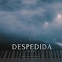 Despedida (1993)