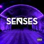 Senses (Explicit)