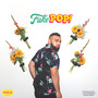 Fake Pop (Explicit)