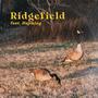 Ridgefield (feat. Hujiking)