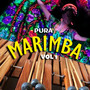 Pura Marimba Vol. 1