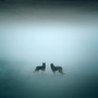 BLACKDOGS (Explicit)