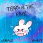 TEARS IN THE RAIN