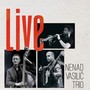 Nenad Vasilic Trio Live