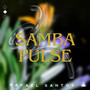 Samba Pulse