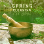 Spring Cleaning the Soul: Remove All Negative Energy with Singing Bowls Tones
