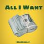 All I Want (Explicit)