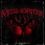 METAMORFOSE