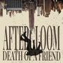 Death of A Friend