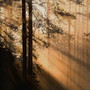 All The Broken Souls (Erothyme Remix)