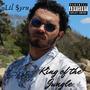 King of the Jungle (Explicit)