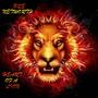 Heart of a Lion (Explicit)