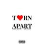 Torn Apart (feat. leelo blue) [Explicit]