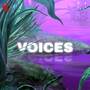 Voices