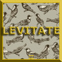 Levitate (Explicit)