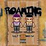 ROAMING (feat. Tomy SJ)