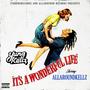 It's A Wonderful Life (Explicit)