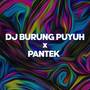 DJ Burung Puyuh x Pantek