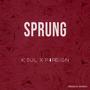 Sprung (feat. F4reign) (Explicit)