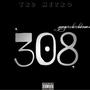 308 (Explicit)