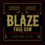 Blaze Face Cow