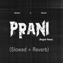 Prani (Rajput Haan) (Slowed + Reverb) [Explicit]