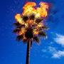 Summer Tape Vol. 5: Summer Heat (Radio Edit)