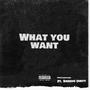 What You Want (Explicit)