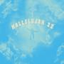 HALLELUJAH 22 (feat. Adam Neff, age, Brks, Jaay Verano, Kareen Rose & Zander)