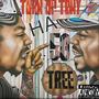 50TREE (Explicit)