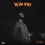 Wild Fire (Explicit)