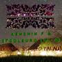 PAS DE LOVE (REMIX) [Explicit]