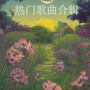 热门歌曲合辑正式版