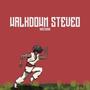 Walkdown Steveo