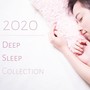 2020 Deep Sleep Collection: Hypnotic Music with Sounds of Nature for Insomnia