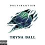 Tryna Ball (Explicit)