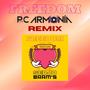 FREEDOM (feat. P and C Armonia) [P and C Armonia Remix]