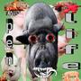 ALL MY FAMILY LIVE IN THE PEN (Explicit)
