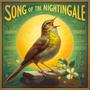 Song Of The Nightingale