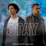 Stay