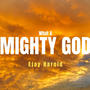 WHAT A MIGHTY GOD